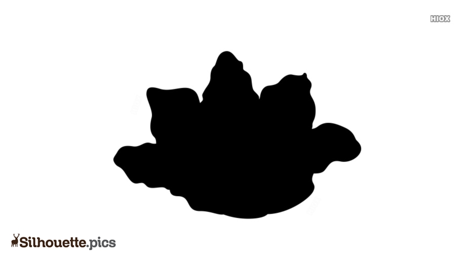 934x534 cartoon cauliflower silhouette drawing silhouette pics