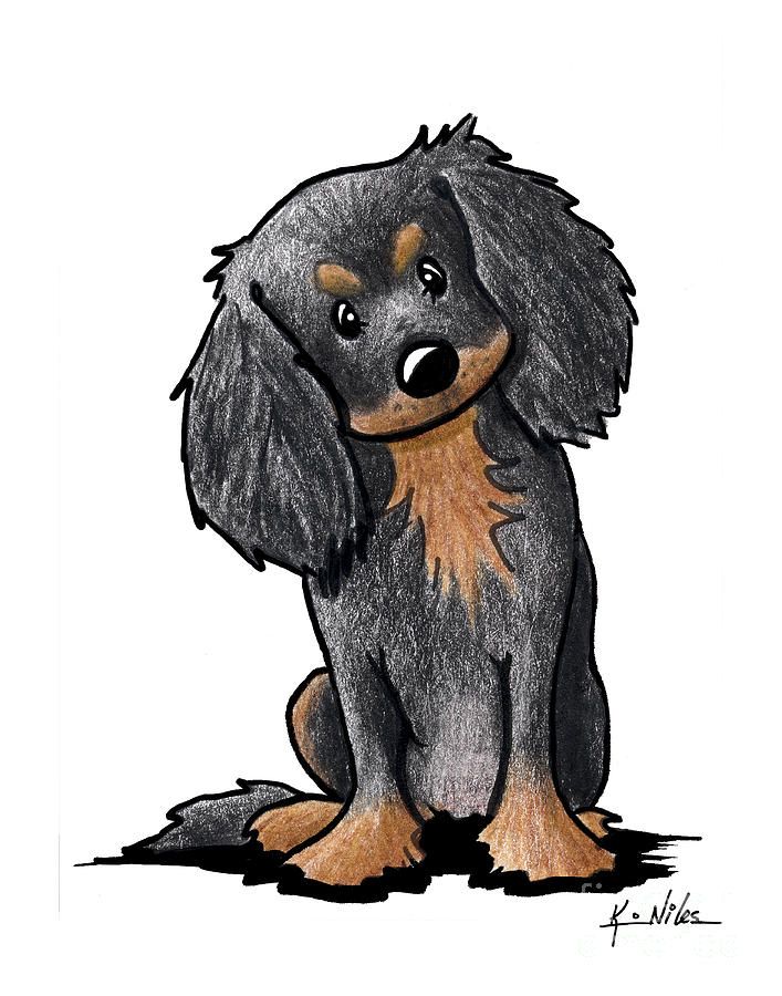 707x900 Cavalier Drawing