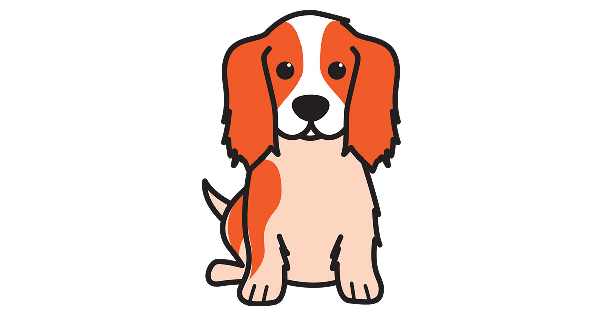 1200x630 Cavalier King Charles Spaniel Color Edition Dog Breed Cartoon