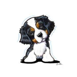 300x300 Cavalier King Charles Spaniel Drawing