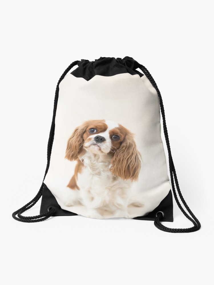 750x1000 Cavalier King Charles Spaniel Blenheim Drawstring Bag