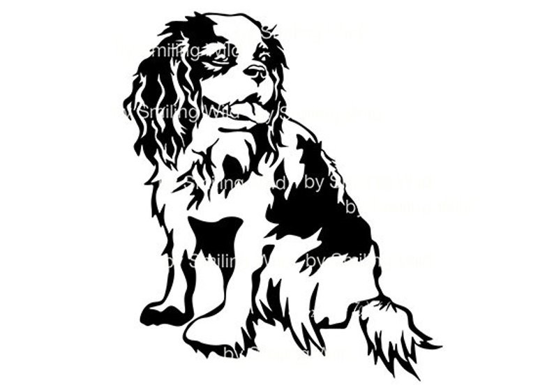 Cavalier King Charles Spaniel Drawing | Free download on ClipArtMag