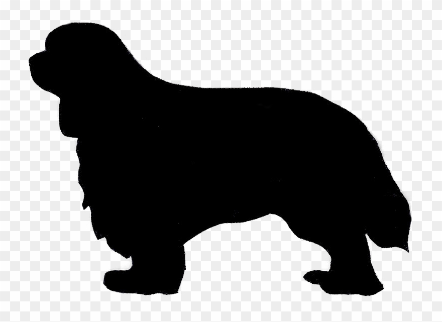 880x641 Almost Famous Dog Image Free Library