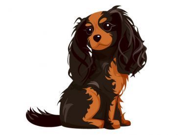 390x275 Cartoon Style Cavalier Stationery Jinxy Bunny Cartoon Styles