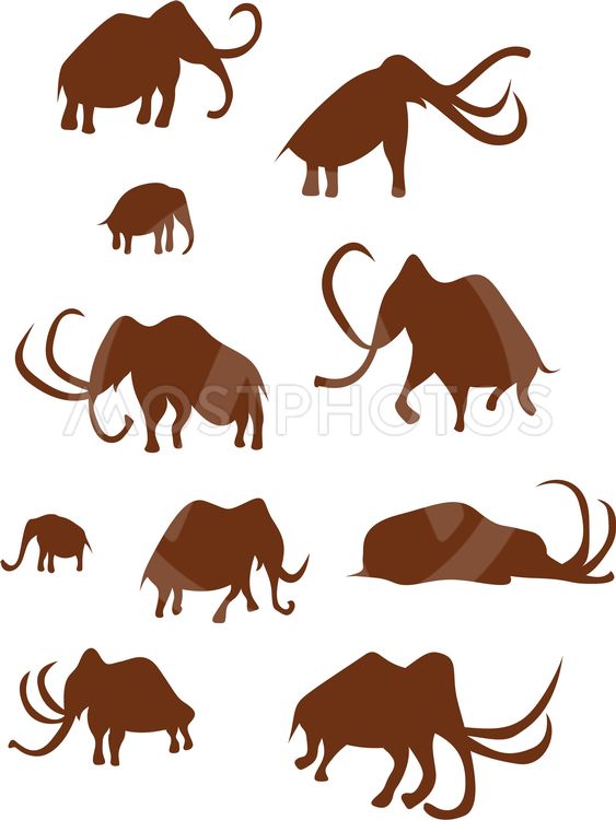 563x750 Cave Drawings Of Ancient Ma