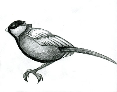 404x316 Cd Cover On Behance