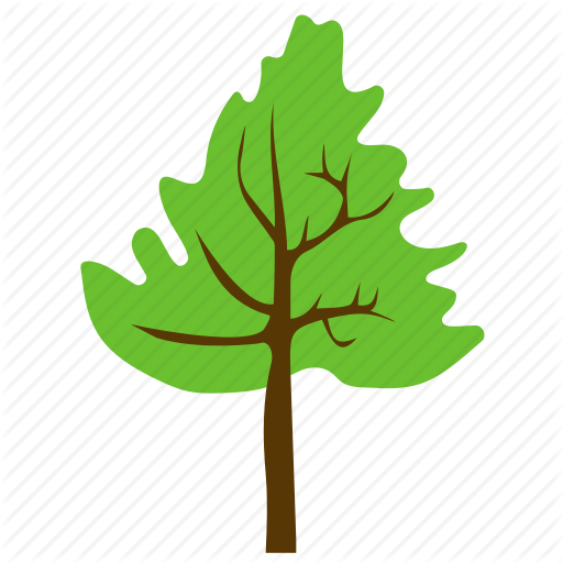 512x512 collection of free fern vector cedar leaf download on ui ex