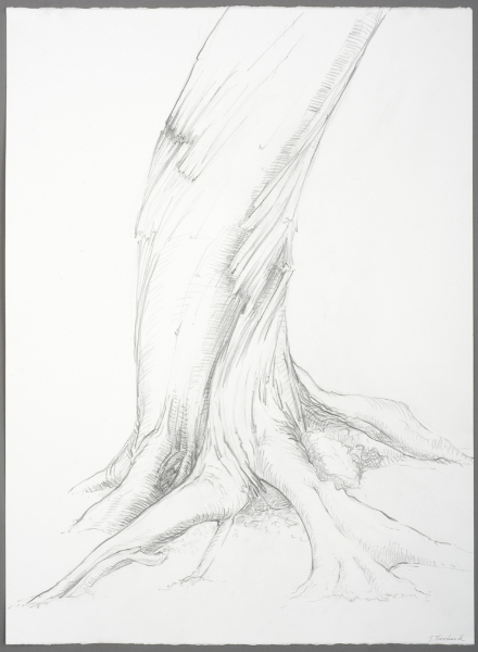 440x600 drawings sharon townshend