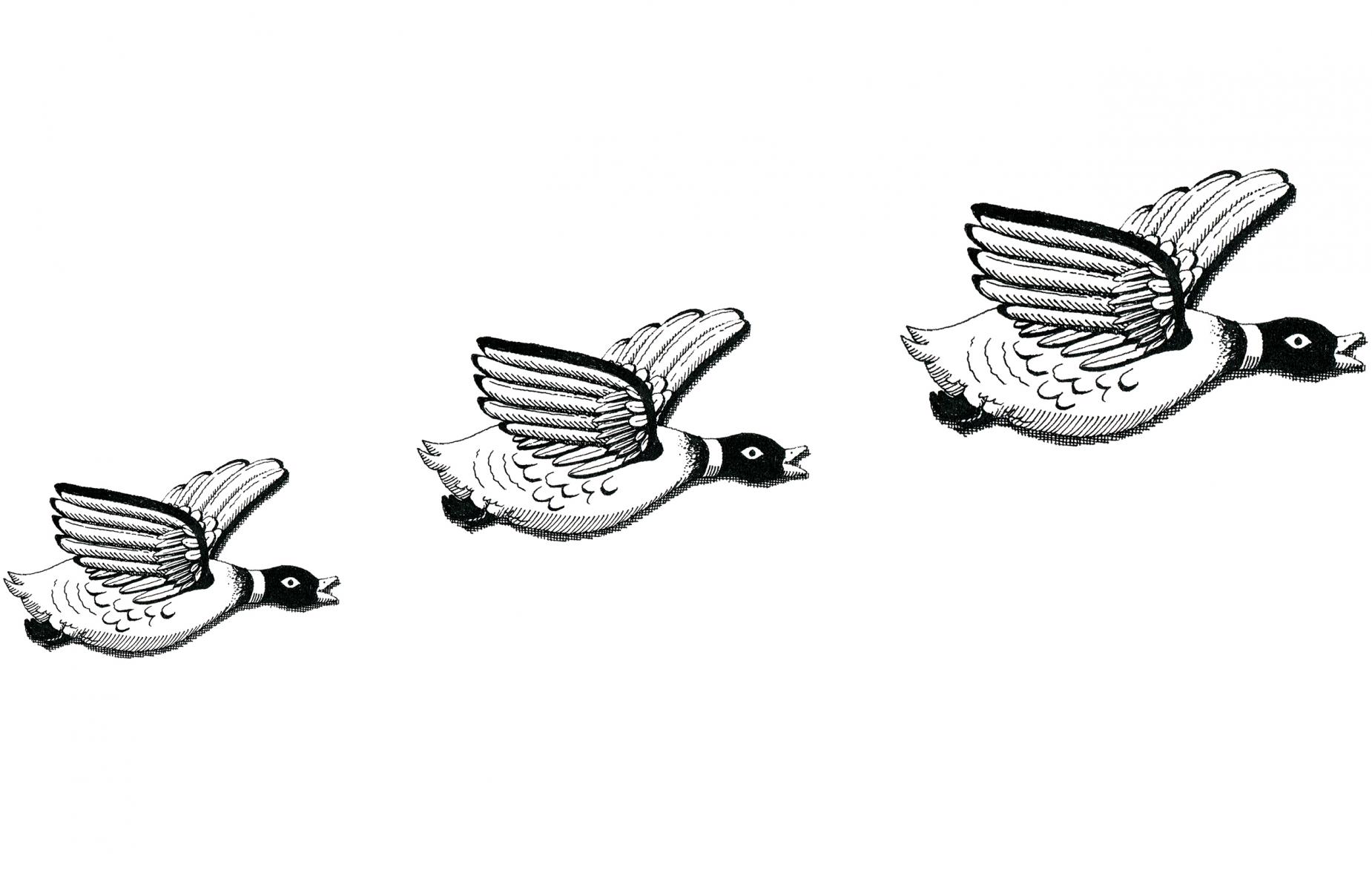 1850x1200 Thibaud Herem