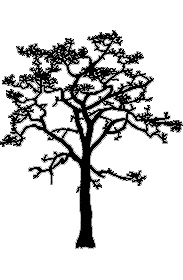 183x280 dogwood tree drawing free download clip art