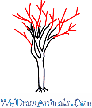 300x350 How To Draw A Cedar Tree