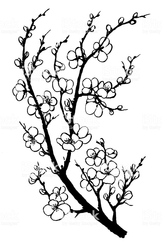 686x1024 Huge Collection Of 'japan Tree Drawing' Download More Than