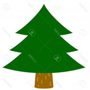 300x300 Stock Photo Larch Fir Cedar Trees Vector Image Soidergi
