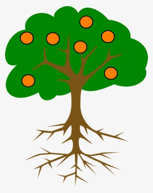 300x378 tree drawing png images png cliparts free download on seekpng