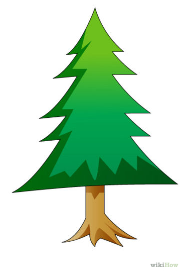 367x549 Images Of Pine Trees Drawing Template