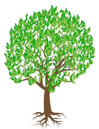 346x450 cedar tree clipart clip art images