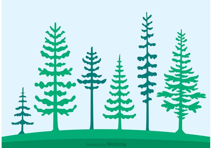700x490 cedar trees silhouette vector