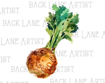 340x270 Celery Clipart Etsy