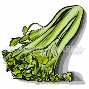 300x300 Celery