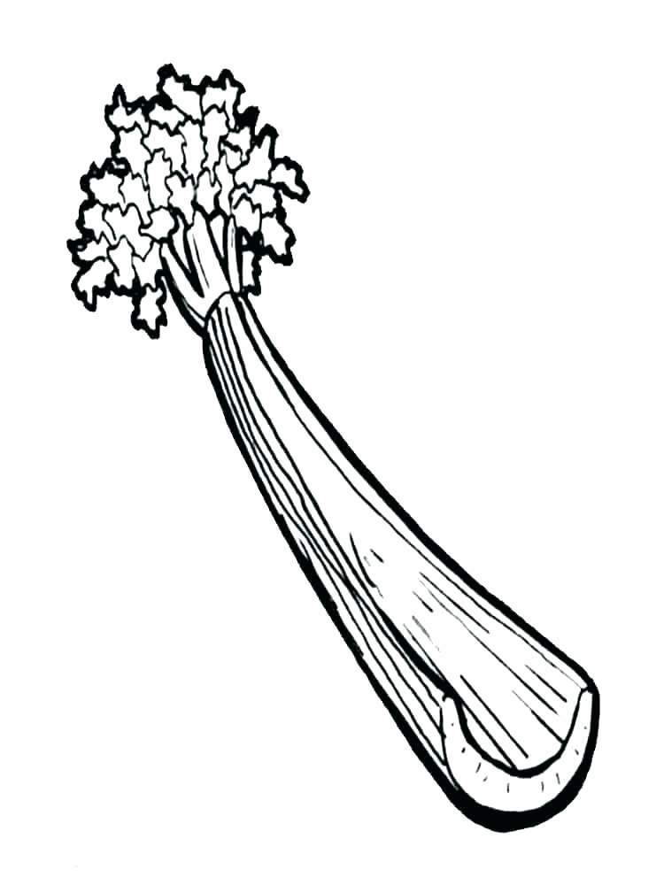 750x1000 colouring pictures of grapes drawn grapes colouring x colouring