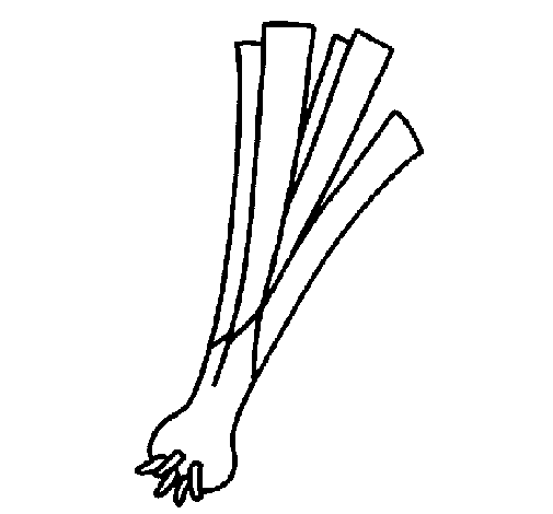 505x470 Vegetable, Food, Drawing, Transparent Png Image Clipart Free