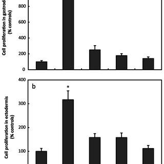 320x320 Cell Proliferation