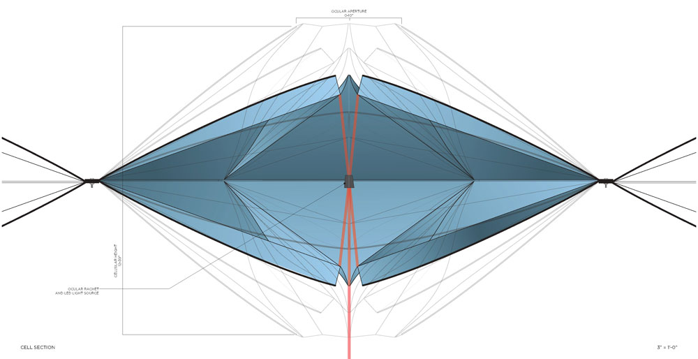 1000x514 cheryl baxter cellular canopy