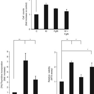 320x320 Stimulates Proliferation Of Spermatogonia Top Panel Cell
