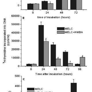 320x320 Time Course Of Cell Growth, Thymidine Incorporation And Protein