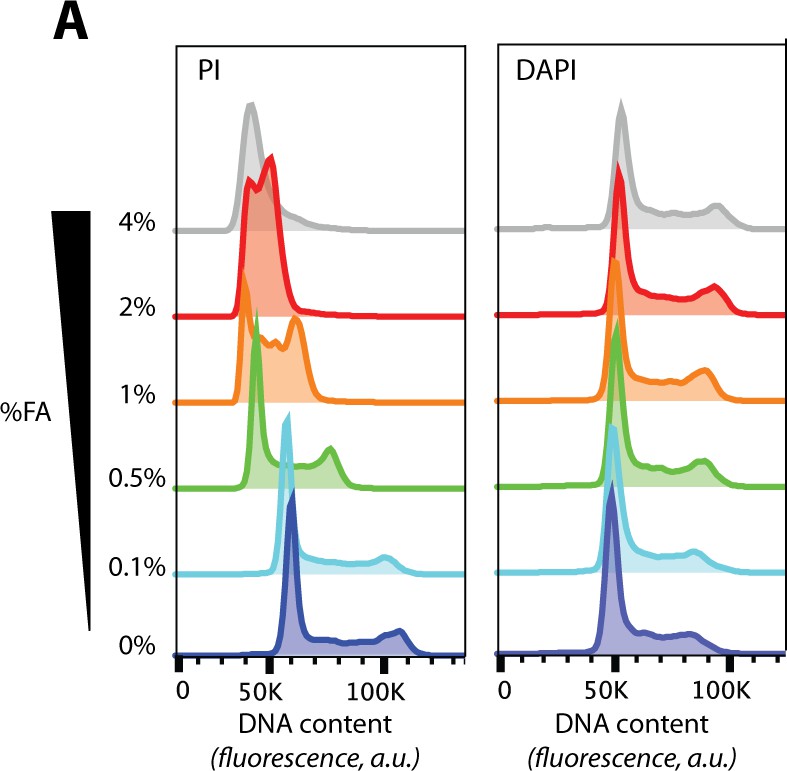 787x771 Figures And Data In Proteomic Analysis Of Cell Cycle Progression