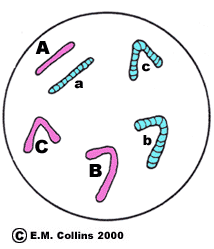 214x249 Lab Manual Exercise