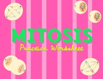 350x270 Mitosis And Cell Cycle Practice Worksheet