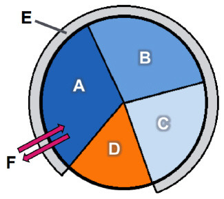 325x288 Cell Cycle Diagram Labeled