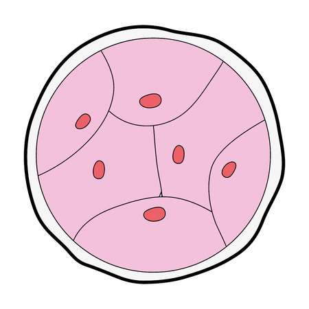 450x450 Collection Of Free Cellular Clipart Cell Division Download On Ui Ex