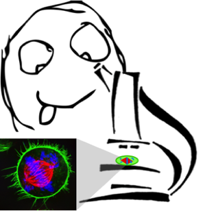 296x308 Linda Wordeman