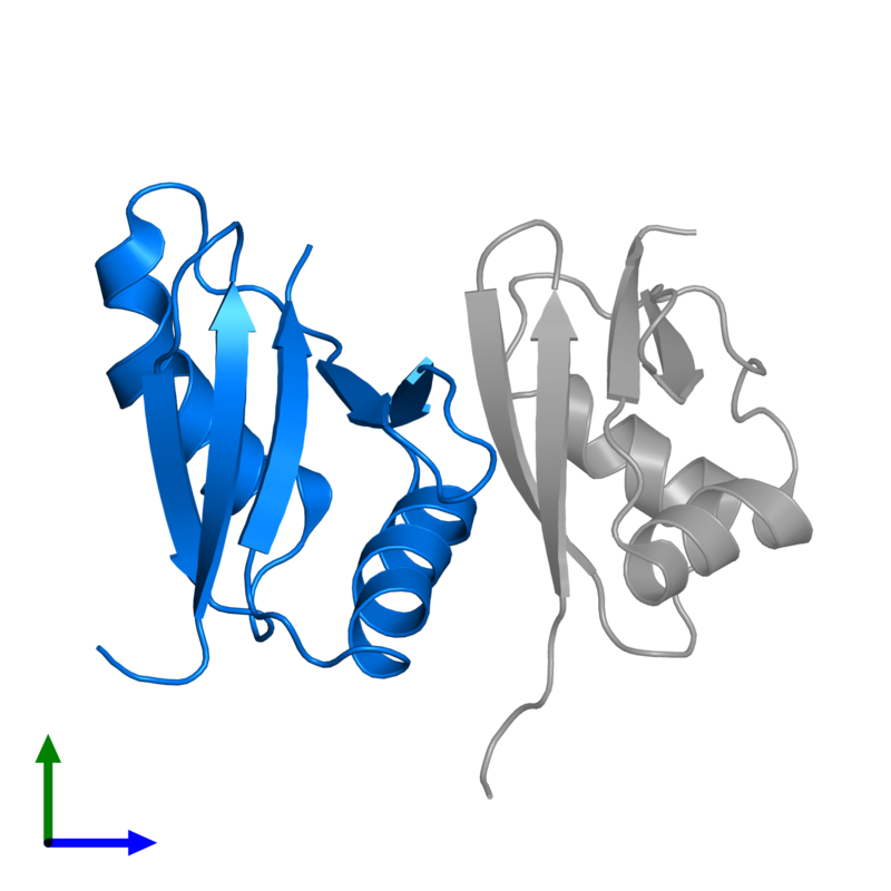 800x800 Pdb Gallery Protein Data Bank In Europe