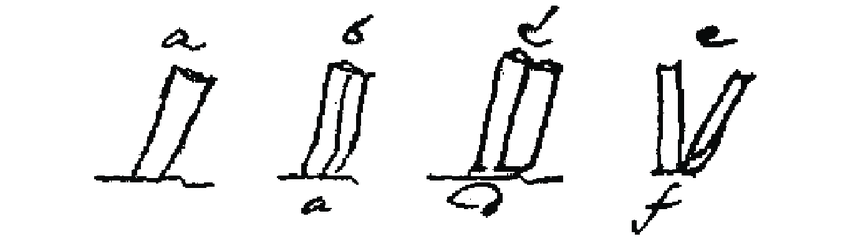 850x244 Probably The Earliest Description Of Cell Division Made