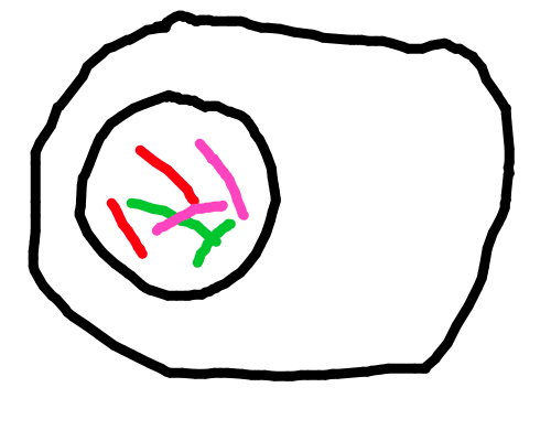 500x400 benettonplay! flipbook deluxe!