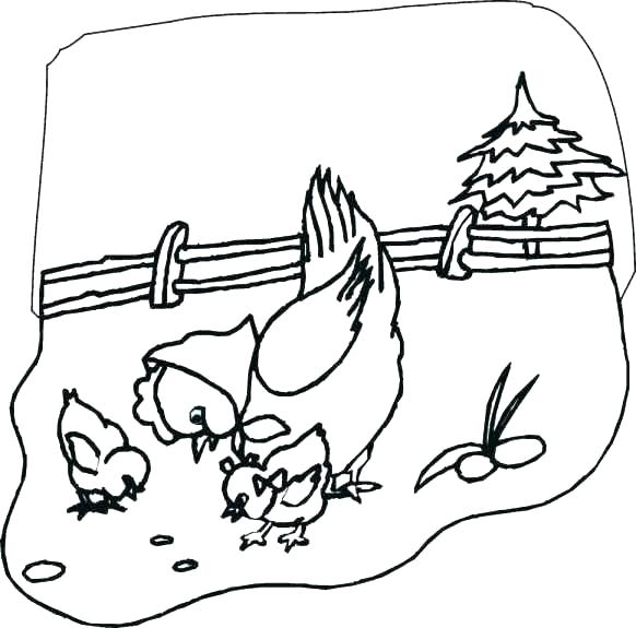 582x575 Home Plant Cell Drawing