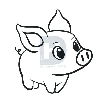 424x422 How To Draw Any Animal Furry Draw Animal Cell Diagram