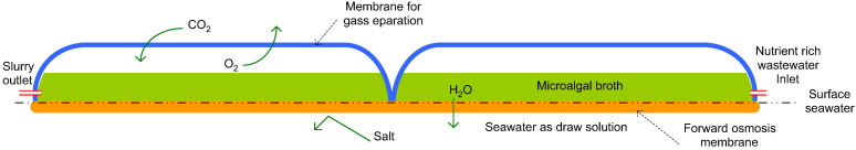 774x136 membrane technology in microalgae cultivation and harvesting