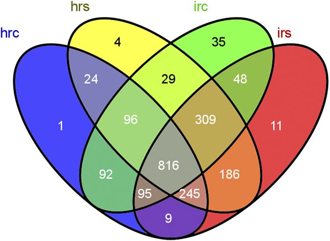 675x492 Metagenomic Insights Into Communities, Functions Of Endophytes