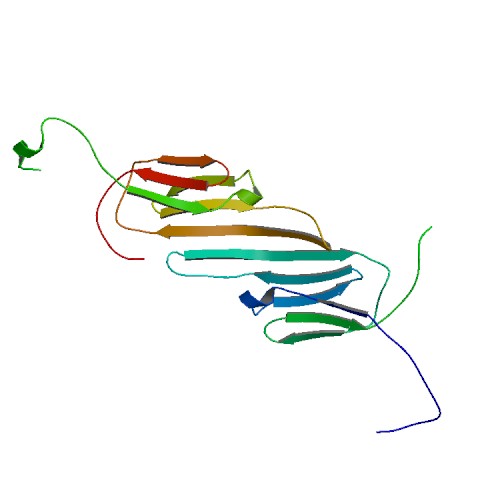 500x500 Human Cancer