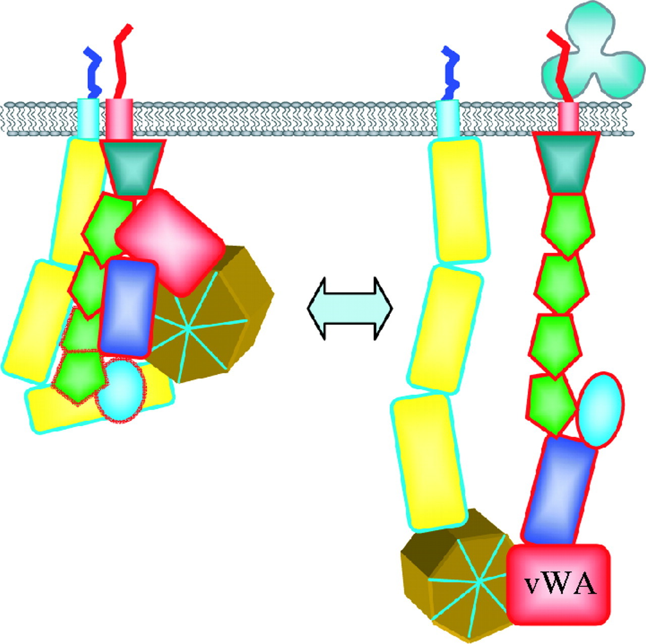 1280x1275 The Croonian Lecture Structure Of The Living Cell