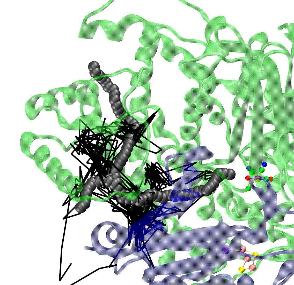 1136x1104 Tracking The Route Of Molecular Oxygen In Tolerant Membrane