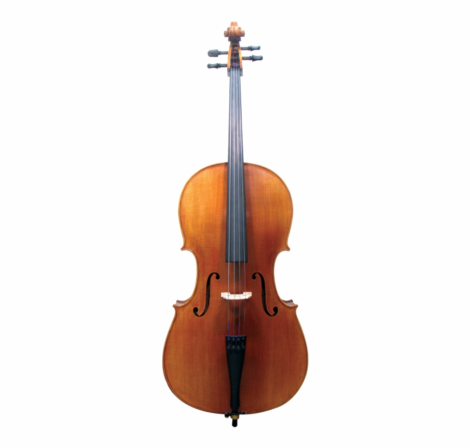 920x878 Maple Leaf Strings Cello Outfit