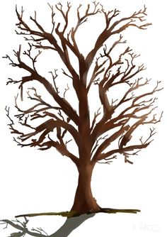 236x334 Best Tree's Of Life! Images Tree Of Life, Drawings, Celtic Tree