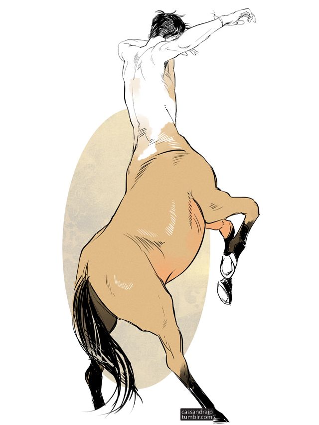 640x852 centaur drawing tumblr