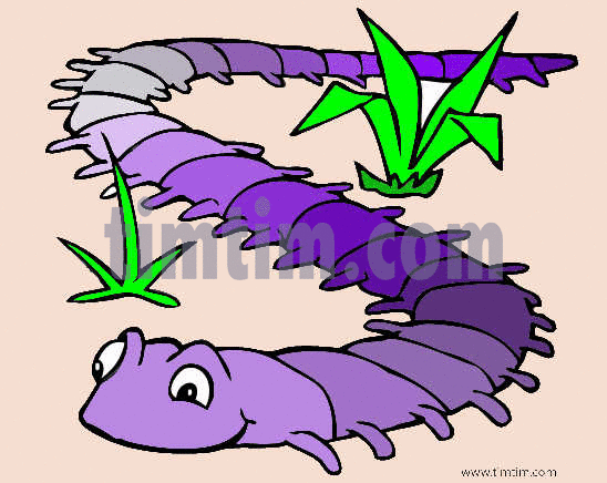 548x436 Free Drawing Of Centipede From The Category Birds Insects