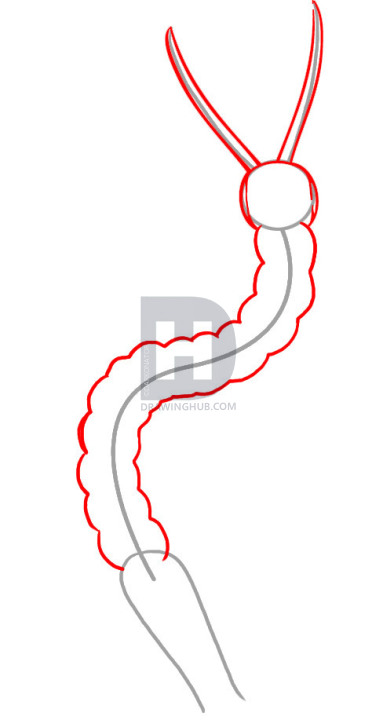 383x720 How To Draw A Centipede, Step
